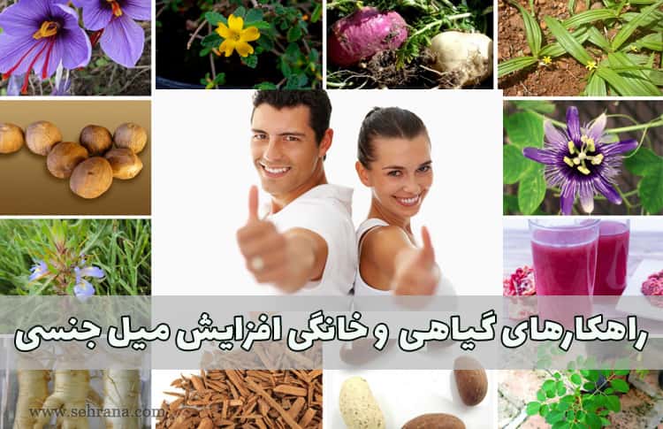 🔴 تاثیر ادویه ها بر میل جنسی و شهوت :